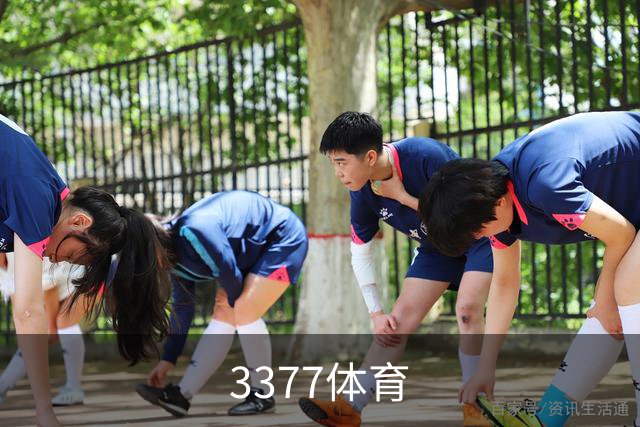3377体育公司简介